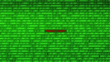 Duvar yeşil ikili kod dolandırıcılık uyarı kelime arasında rastgele ikili veri matris arka plan ortaya