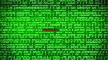 Duvar yeşil ikili kod kimlik hırsızlığı kelime arasında rastgele ikili veri matris arka plan ortaya