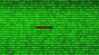 Duvar yeşil ikili kod yazılım korsanlığı kelime arasında rastgele ikili veri matris arka plan ortaya