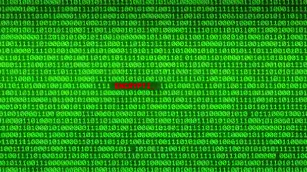 Muur Van Groene Binaire Code Onthullen Encryption Failure Word Tussen — Stockvideo