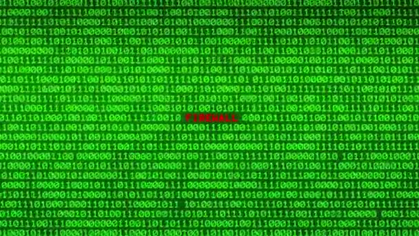 绿色二进制代码墙揭示随机二进制数据矩阵背景下的防火墙词 — 图库视频影像