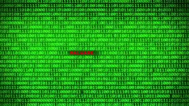 绿色二进制代码墙揭示恶意软件位于随机二进制数据矩阵背景之间的单词 — 图库视频影像