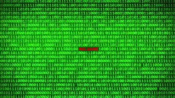 Τοίχο Από Πράσινο Δυαδικό Κώδικα Αποκαλύπτοντας Malware Λέξη Μεταξύ Τυχαίων — Αρχείο Βίντεο