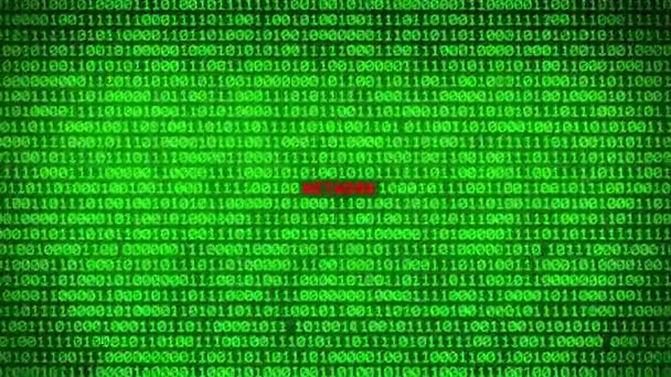 Wand Aus Grünem Binärcode Enthüllt Netzwerkwort Zwischen Zufälligem Binären Datenmatrix — Stockvideo