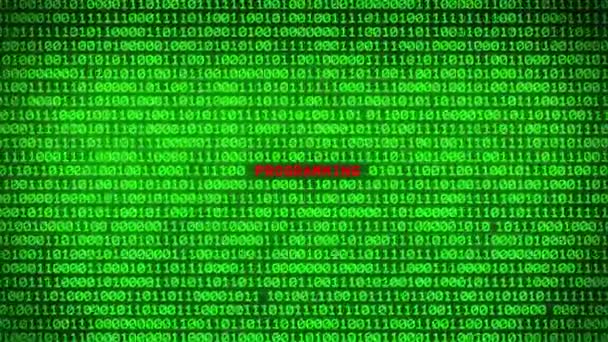 Τοίχο Από Πράσινο Δυαδικό Κώδικα Αποκαλύπτοντας Προγραμματισμού Λέξη Μεταξύ Τυχαίων — Αρχείο Βίντεο
