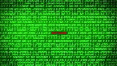 Duvar yeşil ikili kod yazılım kelime arasında rastgele ikili veri matris arka plan ortaya