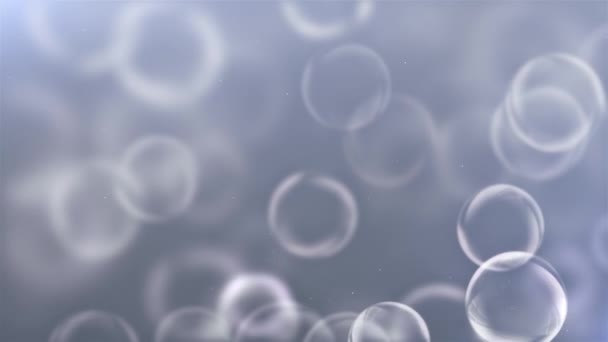 Bublina Kolem Pohyblivé Straně White Gray Bezešvé Rostoucí Mýdlové Bubliny — Stock video