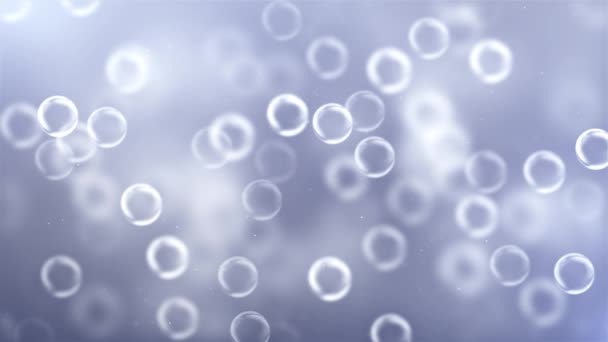 ゆっくりと動いてバブル白とグレー シームレスな上昇石鹸の泡浮とループ粒子バブル アニメーション背景を移動 — ストック動画