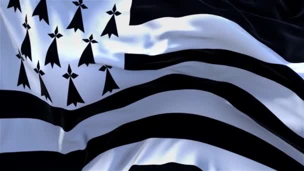 12. a Bretagne Flag integetett a szél folyamatos varrat nélküli hurok háttér. — Stock videók