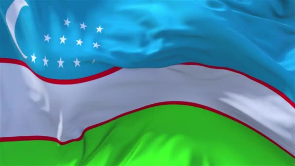 40. Usbekistan Flagge weht im Wind kontinuierliche nahtlose Schleife Hintergrund. — Stockvideo