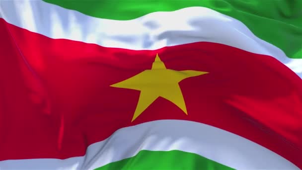 50. Bandera de Surinam ondeando en el viento Fondo de bucle continuo sin costuras . — Vídeo de stock