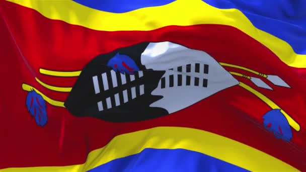 451. Флаг Свазиленда, размахивающий на фоне непрерывного непрерывного бесшовного цикла ветра . — стоковое видео