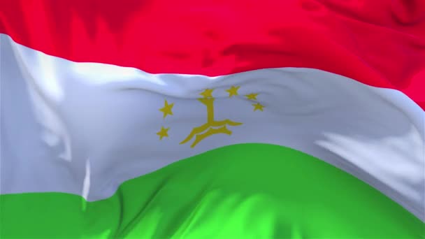 56. Tajikistan Flag Waving in Wind Continuous Seamless Loop Background. — Stock Video