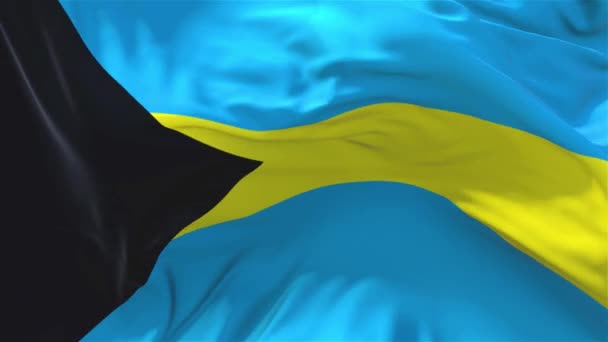 66. 巴哈马国旗在风中连续无缝环背景下飘扬. — 图库视频影像