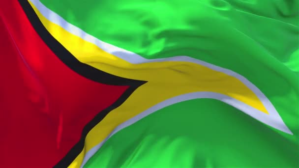 81. Флаг Гайаны, развевающийся на фоне непрерывного непрерывного бесшовного цикла ветра . — стоковое видео