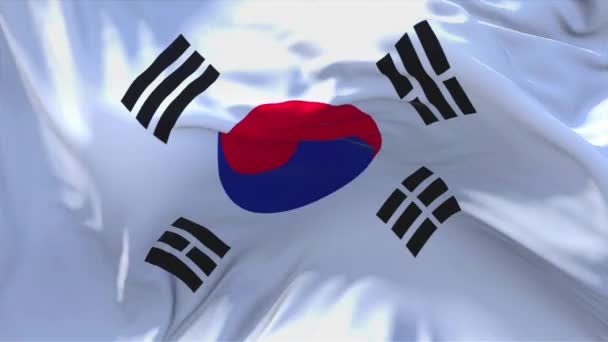 87. Korea South Flag Waving in Wind Continuous Seamless Loop Background. — Stock Video