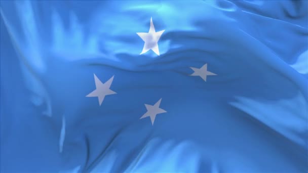 94. Micronésia Estados Federados Bandeira Ondulação Seamless Loop Fundo . — Vídeo de Stock