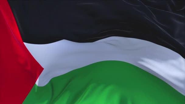 98. Palestine Flag Waving in Wind Continuous Seamless Loop Background. — Stock Video