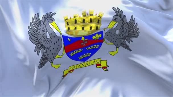 104. Drapeau de Saint-Barthélemy agitant dans le vent continu fond de boucle sans couture . — Video