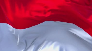 121. Endonezya bayrak rüzgar sürekli sorunsuz döngü arka planda sallayarak.