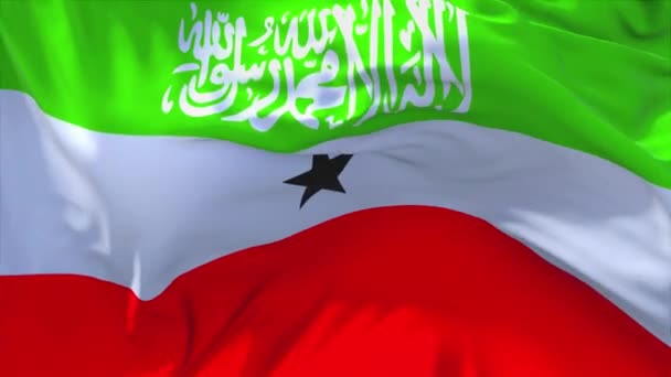 134. 索马里兰旗帜在连续无缝循环背景下挥舞. — 图库视频影像