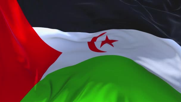 143. Δυτική Σαχάρα σημαία κυματίζει στο παρασκήνιο συνεχή αδιάλειπτη βρόχο Άνεμος. — Αρχείο Βίντεο
