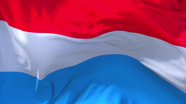 147. Люксембургский флаг, развевающийся на фоне непрерывного непрерывного бесшовного цикла ветра . — стоковое видео