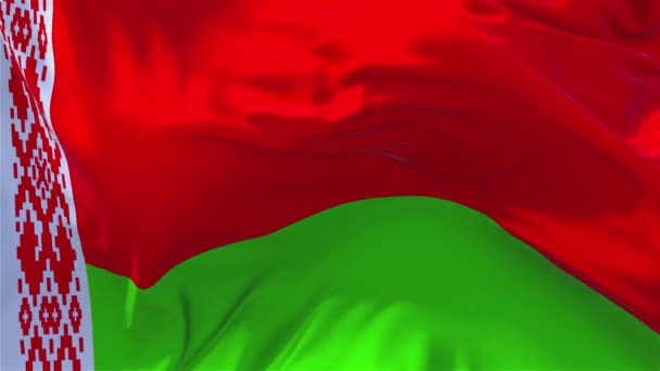 156. Флаг Беларуси развевается на фоне непрерывного цикла бесшовного ветра . — стоковое видео