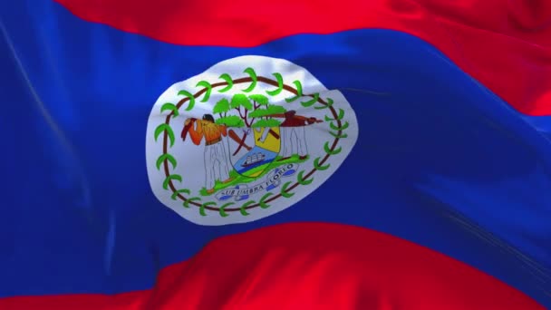 157. a Belize-ből zászló integet a szél folyamatos varrat nélküli hurok háttér. — Stock videók