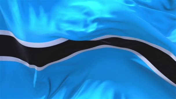 159. Botswana Drapeau agitant dans le vent Continuous Seamless Loop Background . — Video