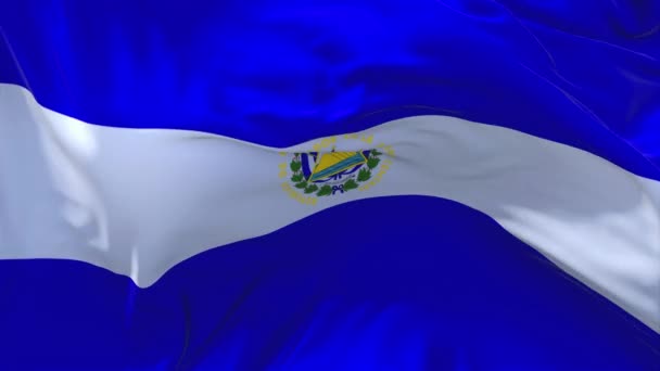 173. Bandera de El Salvador ondeando en viento Fondo de lazo continuo sin costura . — Vídeo de stock