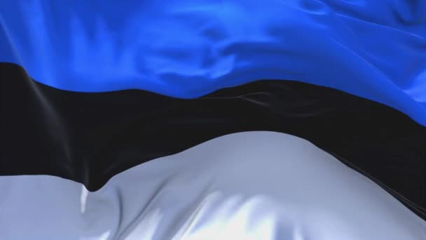 174. Estonia Flag Waving in Wind Continuous Seamless Loop Background. — Stock Video