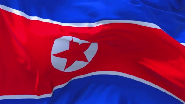 188. Korea North flagga vajande i vinden kontinuerlig sömlös Loop bakgrunden. — Stockvideo