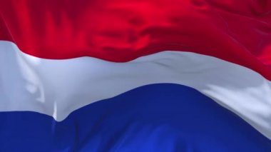 198. Hollanda bayrak rüzgar sürekli sorunsuz döngü arka planda sallayarak.