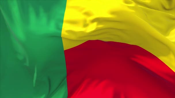 207. Benins flagga vajande i vinden kontinuerlig sömlös Loop bakgrunden. — Stockvideo