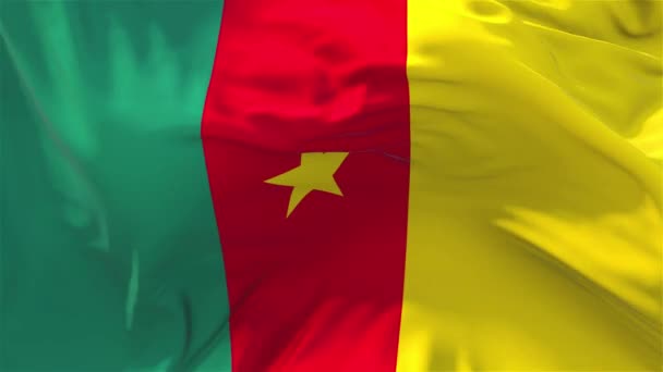208. Bandeira dos Camarões acenando em fundo de loop sem costura contínua de vento . — Vídeo de Stock