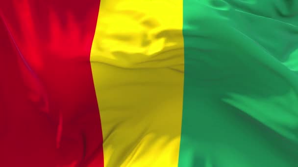 216. Guinée Drapeau agitant dans le vent Boucle sans couture continue Fond . — Video