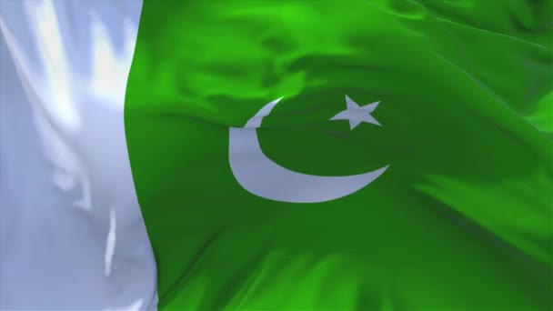 229. Pakistan Flag Waving in Wind Continuous Seamless Loop Background. — Stock Video