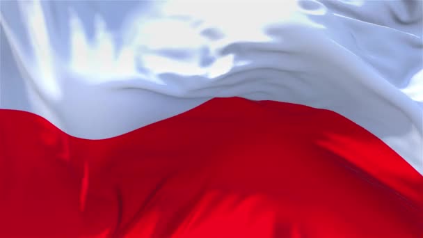 233. Polen vlag zwaaien in de Wind doorlopend naadloze achtergrond. — Stockvideo