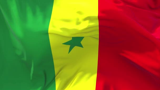 238 Senegal Vlag Wapperend Wind Slow Motion Animatie Realistische Stof — Stockvideo