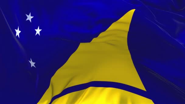 239. Tokelau Drapeau agitant dans le vent continu fond de boucle sans couture . — Video