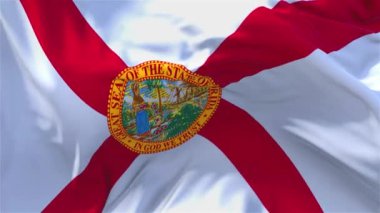 270. Florida bayrak rüzgar sürekli sorunsuz döngü arka planda sallayarak.