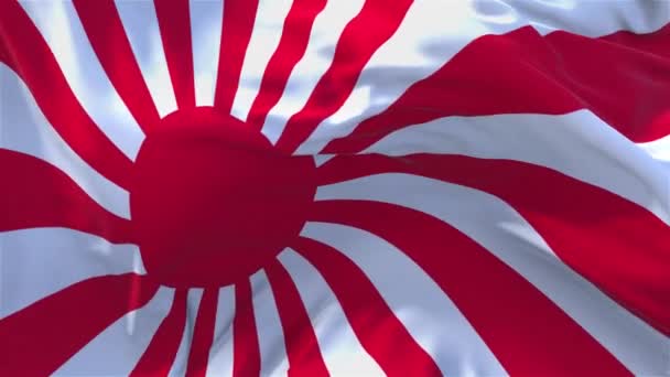 273. japan leger en Marine vlag zwaaien continu naadloze Loop achtergrond. — Stockvideo