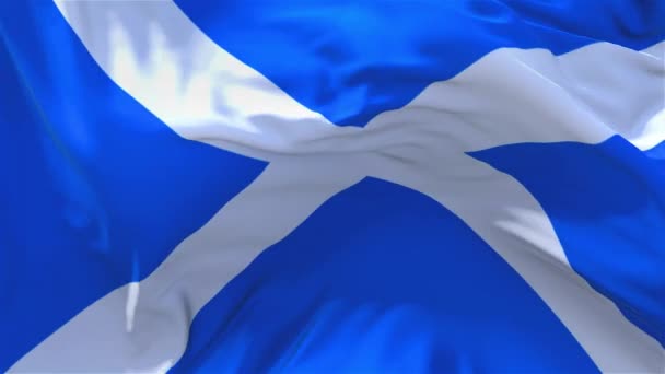 279. Флаг Шотландии, развевающийся на фоне непрерывного непрерывного бесшовного цикла ветра . — стоковое видео