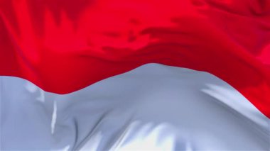 195. Monaco bayrak rüzgar sürekli sorunsuz döngü arka planda sallayarak.