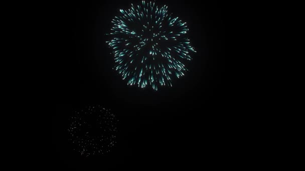 29 anos. noite feriado colorido fogos de artifício de exibição Loop fundo — Vídeo de Stock