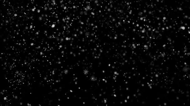 Güzel kar taneleri parçacıkları düşen ve sorunsuz bir şekilde kar kayan yeşil ekran animasyon ilmekledi — Stok video