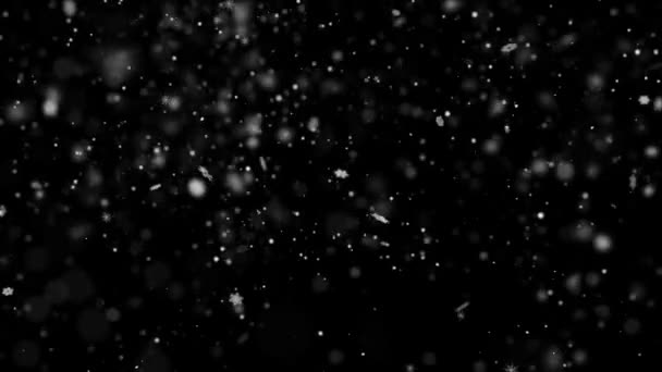 Tempestade de neve nevasca queda flocos de neve fundo de Natal — Vídeo de Stock