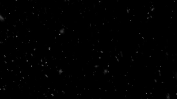 抽象 rendom 雪花落在黑色背景 — 图库视频影像
