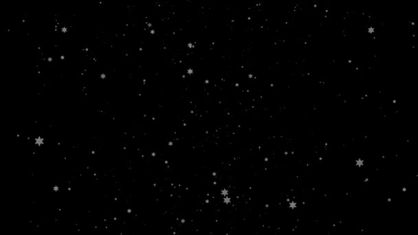 Caer en cámara lenta efecto copos de nieve Movimiento — Vídeos de Stock